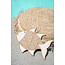 ibzhome Wandhalter Muschelfisch
