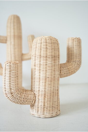Rotan Cactus Pendek