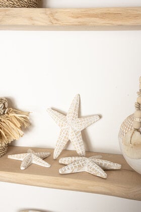 Starfish Set of 3 White