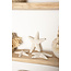 ibzhome Starfish Set of 3 White