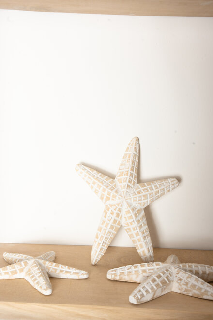 Starfish Set of 3 White