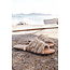 ibzmode Slipper Inessa Baroque Taupe Print