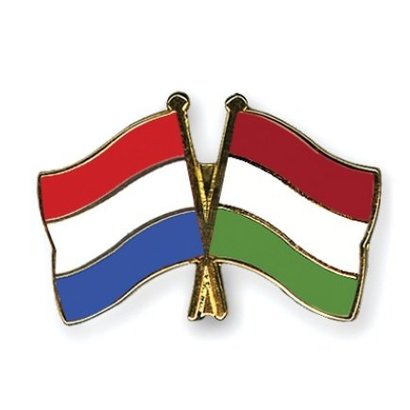 Speldje Nederland Hongarije vlag Vriendschapsspeldje