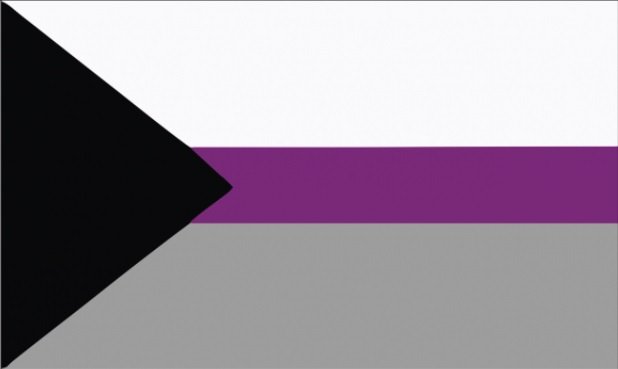 vlag-demisexual-flag.jpg