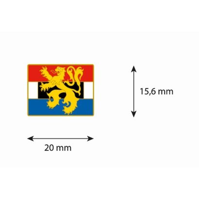 Speldje Benelux flag lapel pin