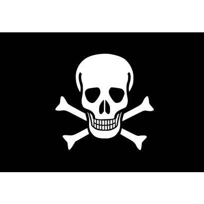 Vlag Pirate Skull Jolly Roger vlag