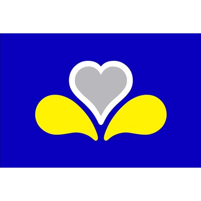 Vlag Brussels Capital Region flag