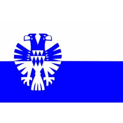 Vlag Arnhem Gemeentevlag