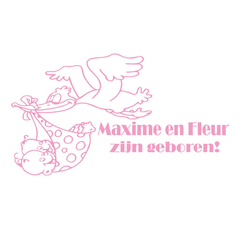 Raam sticker tweeling Is geboren met ooievaar Raam sticker tweeling Is geboren met ooievaar