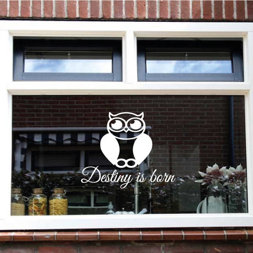 Geboorte sticker met uil en naam Geboorte sticker met uil en naam