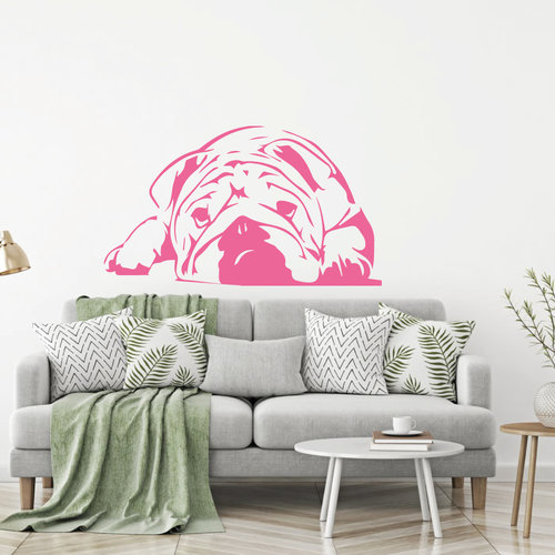 muursticker Bulldog muursticker Bulldog