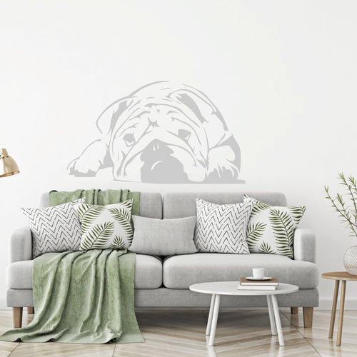 muursticker Bulldog muursticker Bulldog