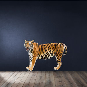 Tijger kleur Tijger kleur