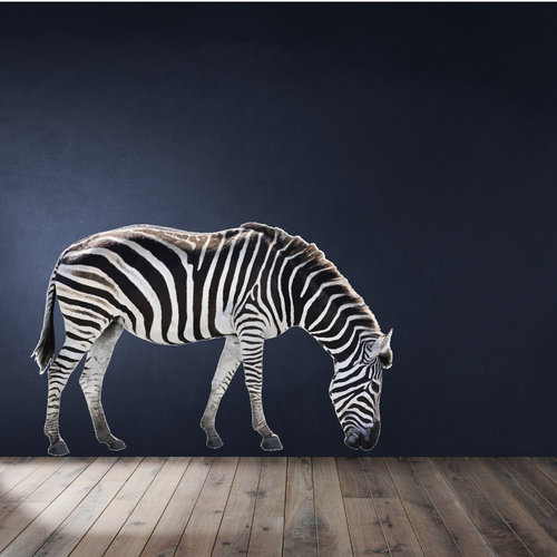 Muursticker Zebra realistisch Muursticker Zebra realistisch