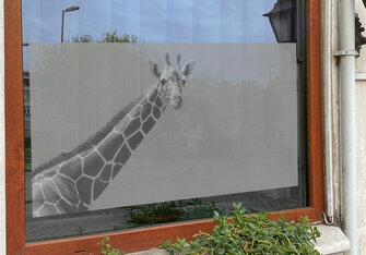 Raamfolie dieren Raamfolie dieren