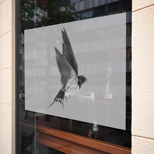 Raamfolie Vliegende vogel Raamfolie Vliegende vogel