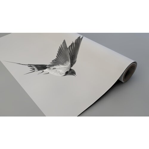 Raamfolie Vliegende vogel Raamfolie Vliegende vogel