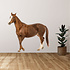 Muursticker Paard Muursticker Paard