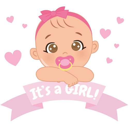 it's a girl geboorte raamsticker it's a girl geboorte raamsticker