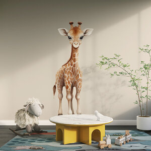 Baby giraffe Baby giraffe