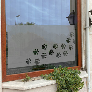 Hondenpootjes Hondenpootjes