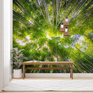 Bomen van onder af Bomen van onder af