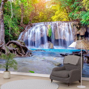 Waterval in bos Waterval in bos