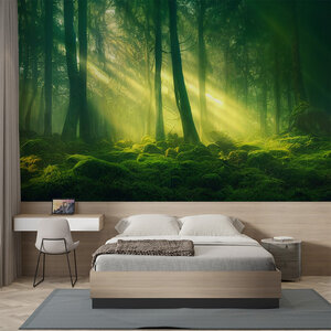 Zonneschijn in bos Zonneschijn in bos