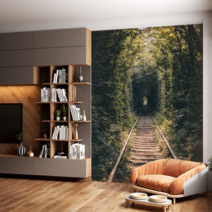 Rails door de bomen Rails door de bomen