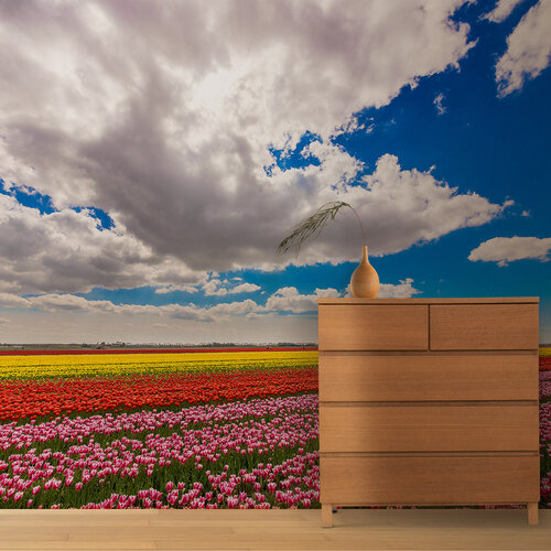 Behang Tulpen veld Behang Tulpen veld