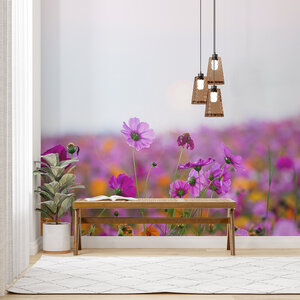 Madelief paars Madelief paars