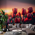 Behang tulp met ondergaande zon Behang tulp met ondergaande zon