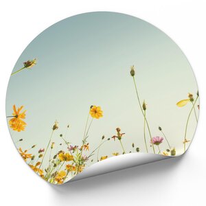 Natuur foto Natuur foto