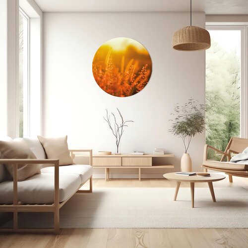 Natuurcirkel - Breng de schoonheid van de natuur in huis Natuurcirkel - Breng de schoonheid van de natuur in huis