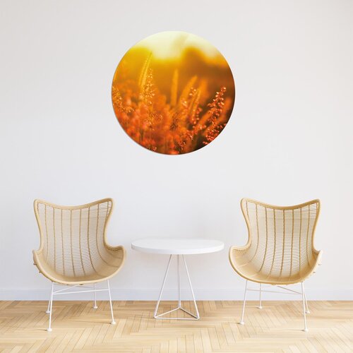 Natuurcirkel - Breng de schoonheid van de natuur in huis Natuurcirkel - Breng de schoonheid van de natuur in huis