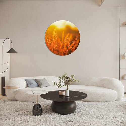 Natuurcirkel - Breng de schoonheid van de natuur in huis Natuurcirkel - Breng de schoonheid van de natuur in huis