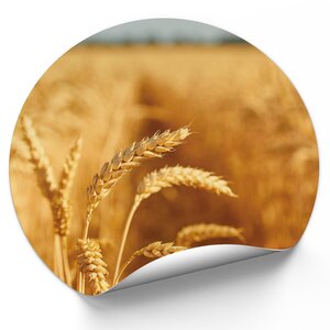 Elegante Decoratie voor Elk Interieur Elegante Decoratie voor Elk Interieur