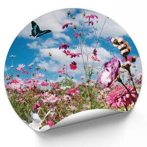 Lentebloesem Lentebloesem