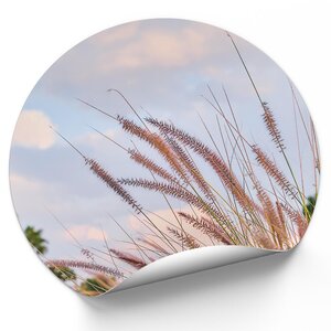 Natural Landscape Natural Landscape