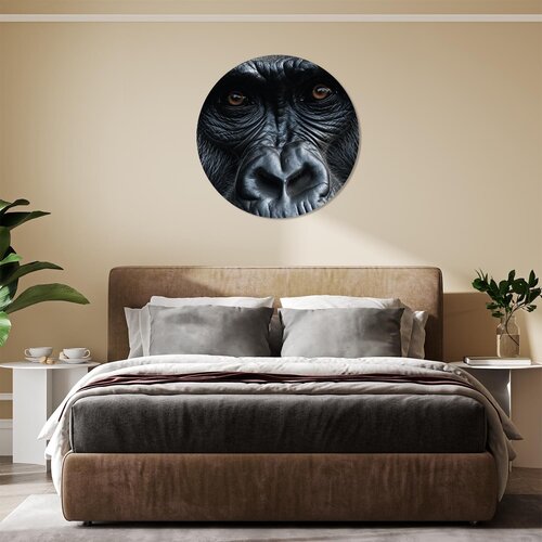 Muurcirkel gorilla close up Muurcirkel gorilla close up