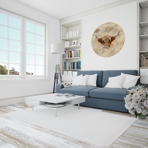 Muurcirkel hooglander in hoog gras Muurcirkel hooglander in hoog gras