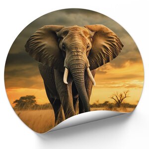 olifant met ondergaande zon olifant met ondergaande zon