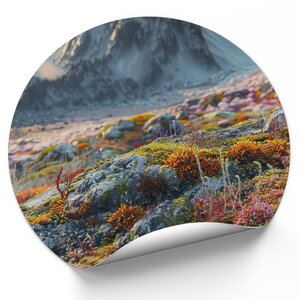 Natuur in de bergen Natuur in de bergen