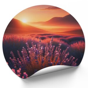 Paarse bloemenpracht bij zonsondergang Paarse bloemenpracht bij zonsondergang