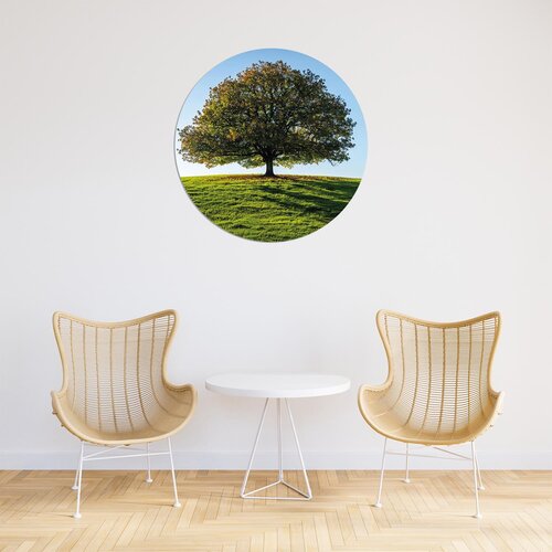 Muurcirkel Boom op een veld Muurcirkel Boom op een veld