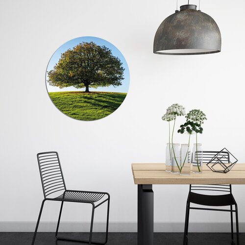Muurcirkel Boom op een veld Muurcirkel Boom op een veld