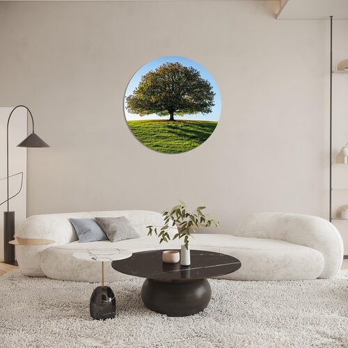 Muurcirkel Boom op een veld Muurcirkel Boom op een veld