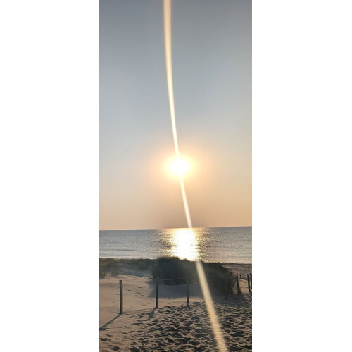 Print Enola Vissers (edge glass folie)