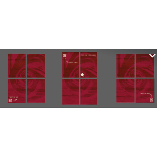 Ontwerp Nikki Kloet volgens mail binenn geplakt  + ochtend zending DHL express (voor 12uur) 30 april versturen!