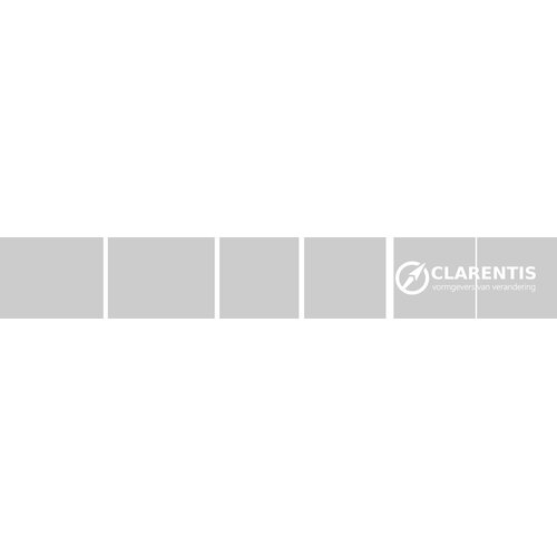 Ontwerp clarentis spiegelbeeld leveren